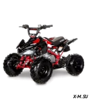 Квадроцикл ACCESS AMS 110 MINISPORT