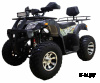 Квадроцикл ATV Classic 200 Premium