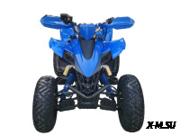 Квадроцикл (ATV) серия 6, SPORTY 250