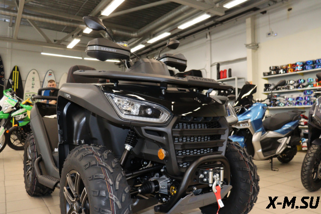 Квадроцикл Segway SNARLER AT6 LE