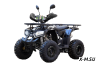 Квадроцикл UNIVERSAL ATV 125 TM Fusion