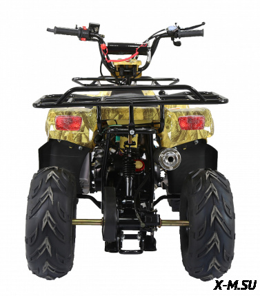Квадроцикл (АТV) "TERMIT TT ATM"